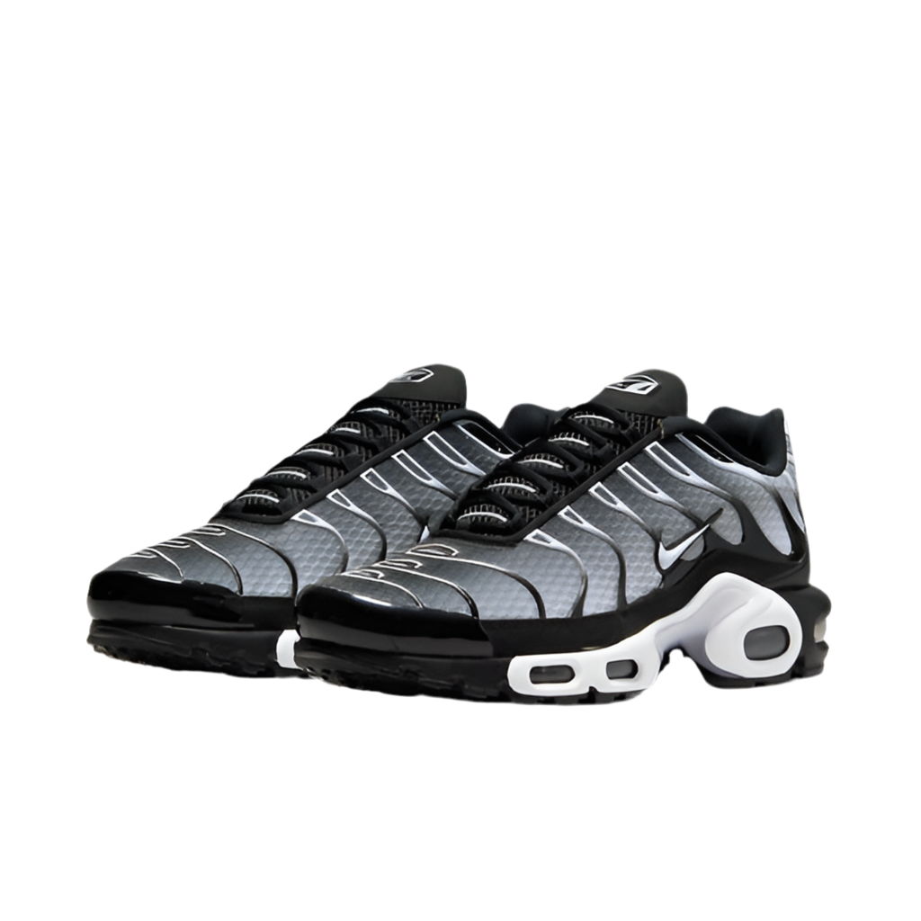 Nike Air Max Plus "Black/Silver"