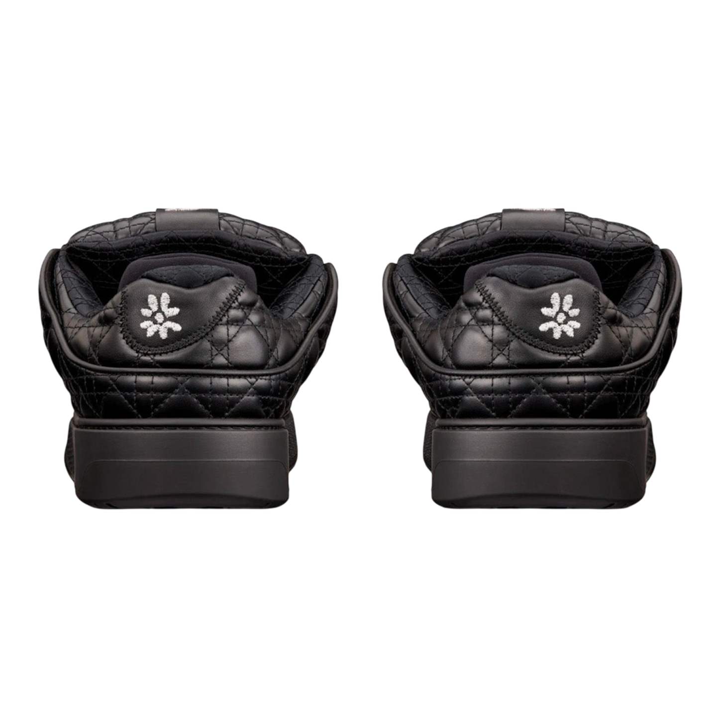 Dior B9S Skater ‘ERL Black’