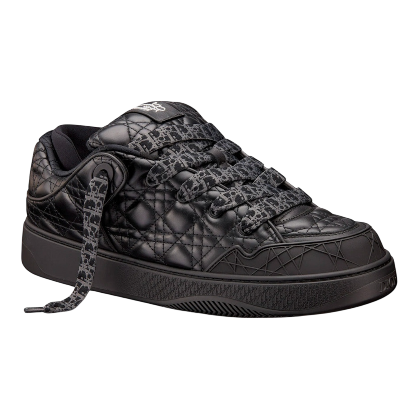 Dior B9S Skater ‘ERL Black’