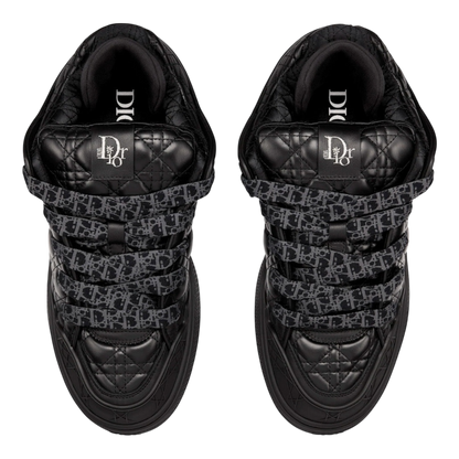 Dior B9S Skater ‘ERL Black’