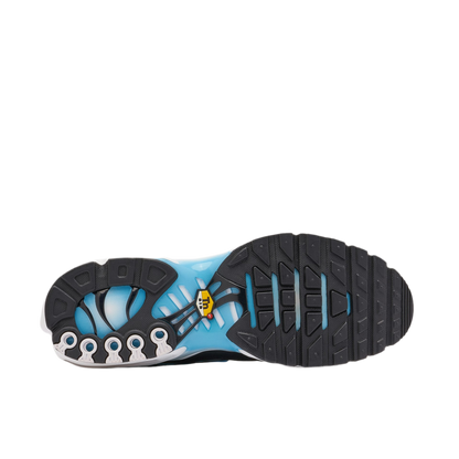 Nike Air Max Plus ‘Baltic Blue’