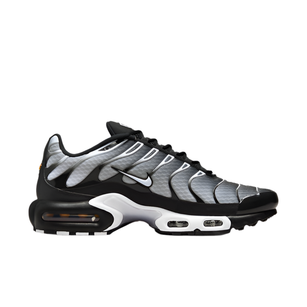 Nike Air Max Plus "Black/Silver"