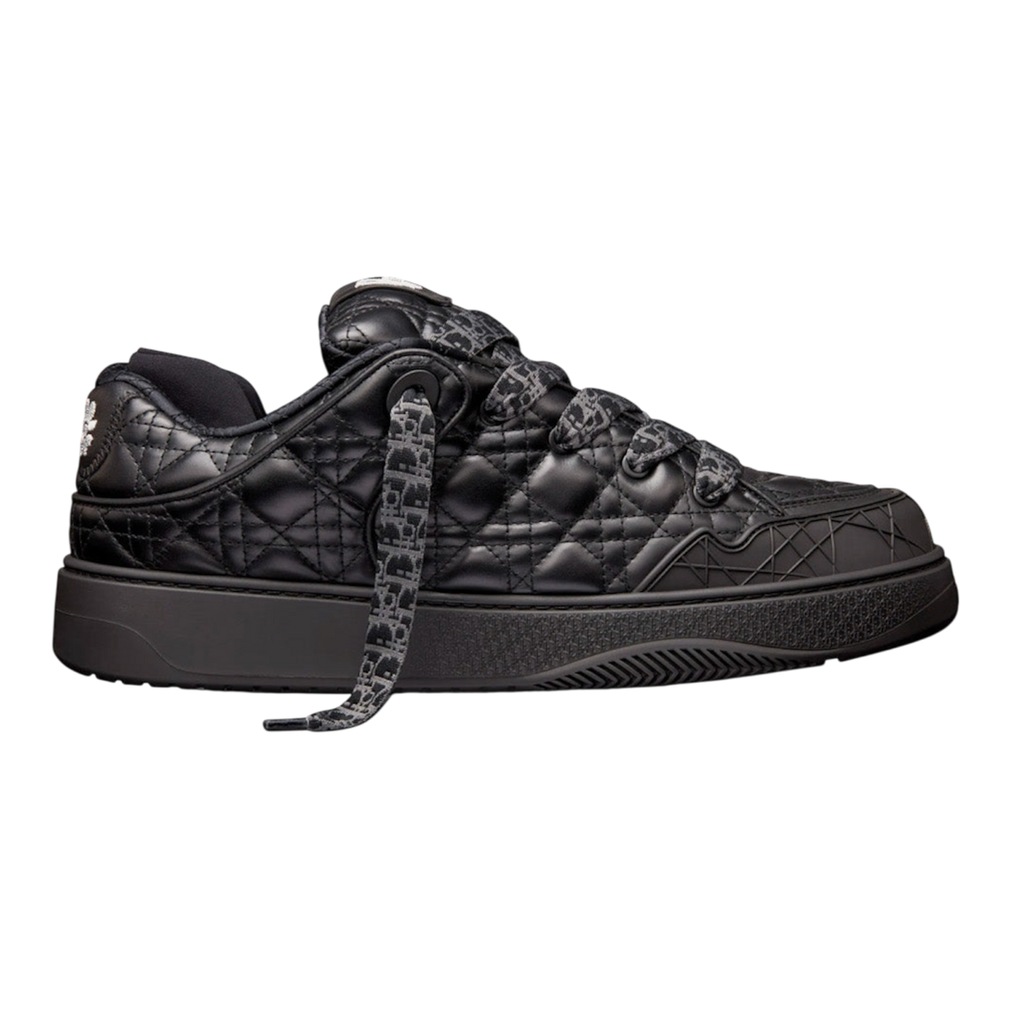 Dior B9S Skater ‘ERL Black’