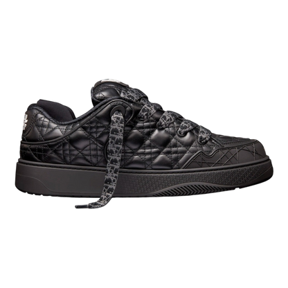 Dior B9S Skater ‘ERL Black’