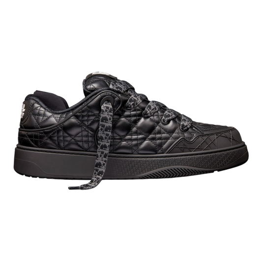 Dior B9S Skater ‘ERL Black’