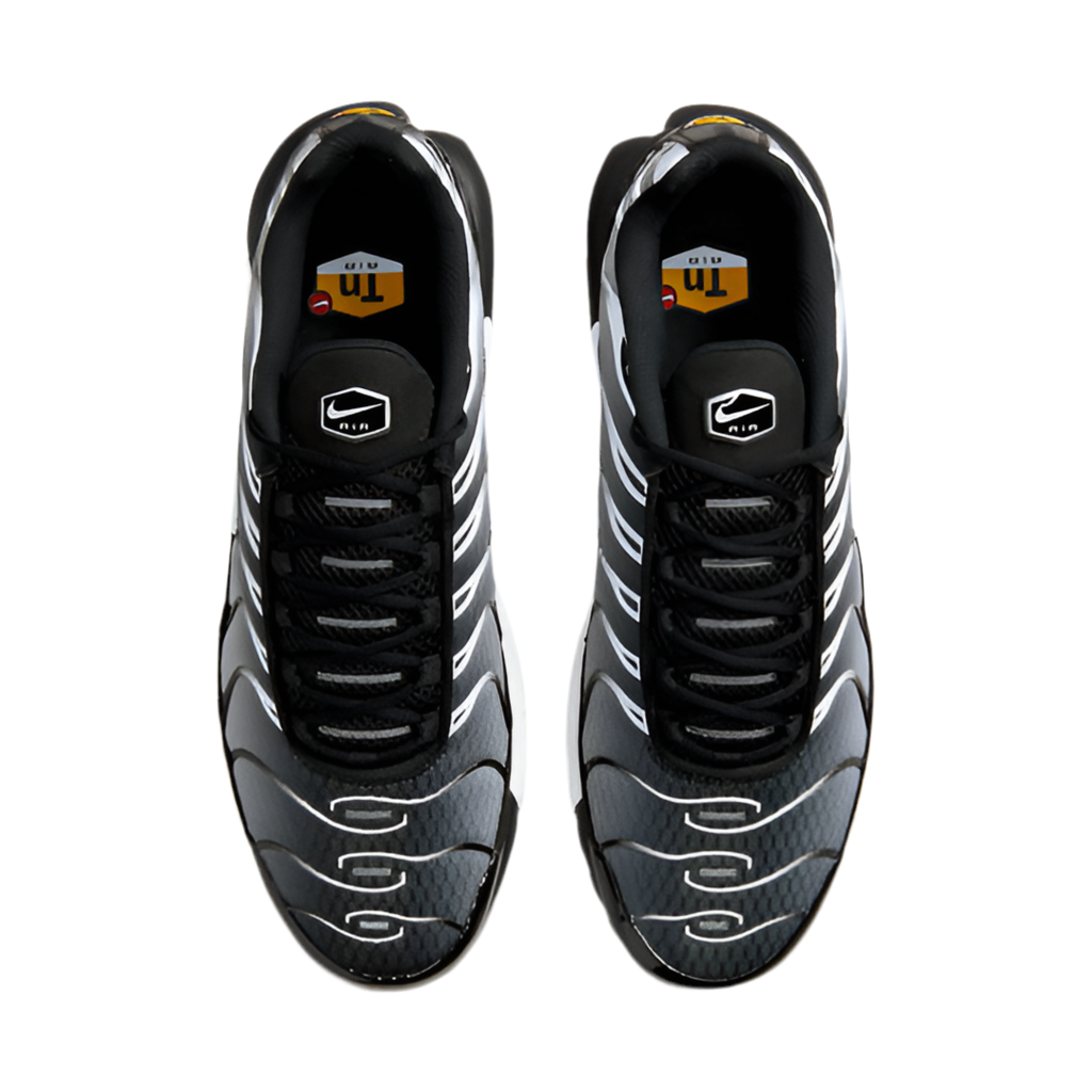 Nike Air Max Plus "Black/Silver"