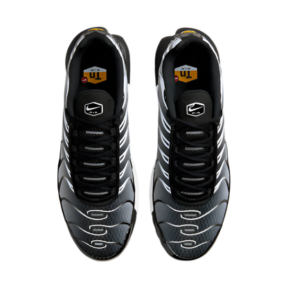 Nike Air Max Plus "Black/Silver"
